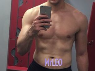 MrLEO