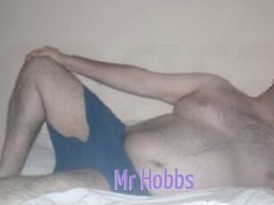 Mr_Hobbs