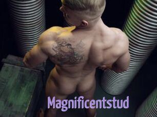 Magnificentstud