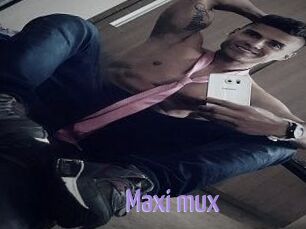 Maxi_mux