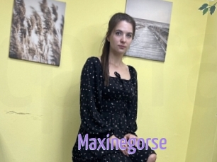 Maxinegorse