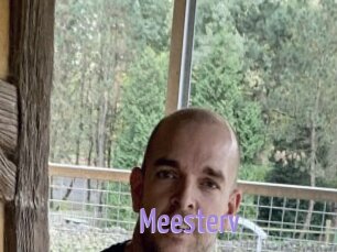 Meesterv