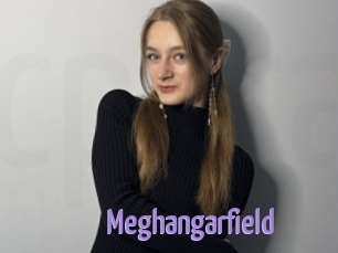 Meghangarfield