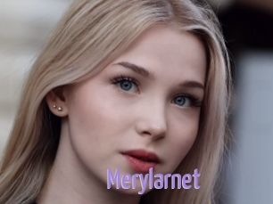 Merylarnet