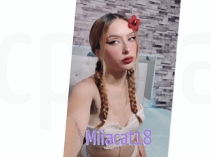 Miiacat18