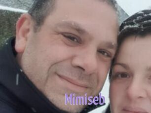 Mimiseb