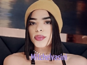 Mitchelvasini