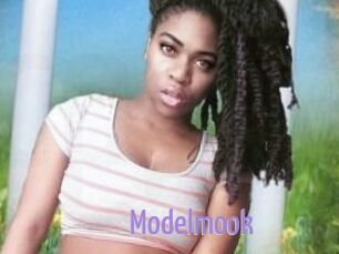 Modelmook