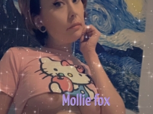 Mollie_fox