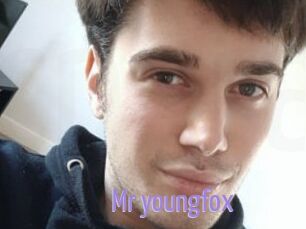 Mr_youngfox