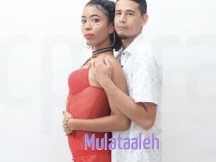 Mulataaleh