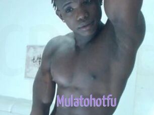 Mulatohotfu