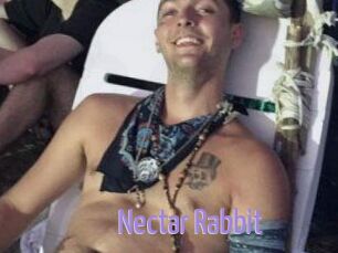 Nectar_Rabbit