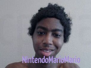 NintendoMarioMario