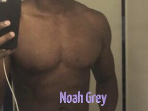 Noah_Grey