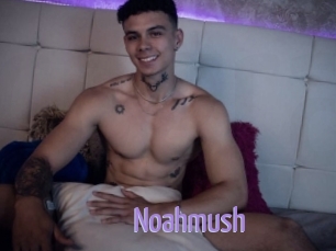 Noahmush