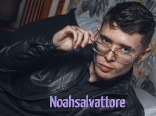 Noahsalvattore