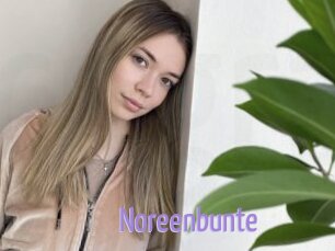 Noreenbunte