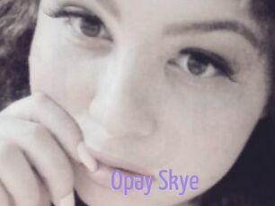 Opay_Skye