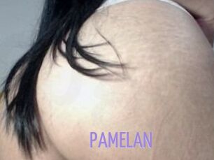 PAMELA_N