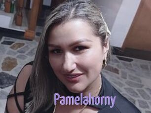 Pamelahorny