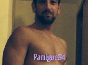 Pamigue84