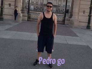 Pedro_go