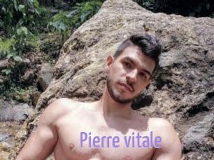 Pierre_vitale