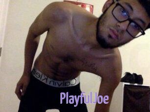 PlayfulJoe