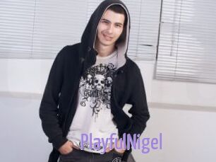 PlayfulNigel