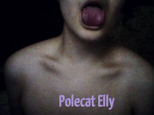 Polecat_Elly