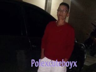 Polexcuteboyx