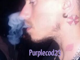 Purplecod23