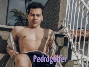 Pedrogolfer