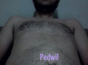 Pedwil