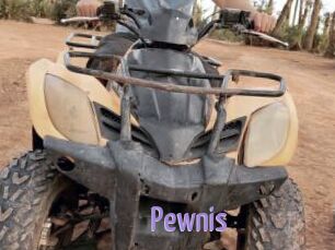 Pewnis