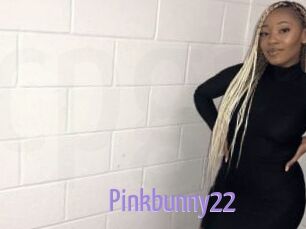 Pinkbunny22