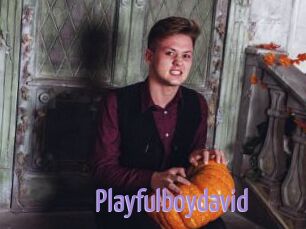 Playfulboydavid