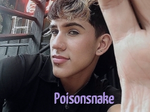 Poisonsnake