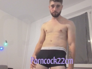 Porncock22cm