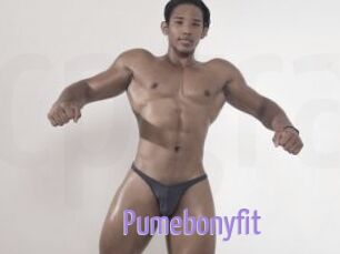 Pumebonyfit