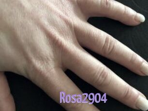 Rosa2904