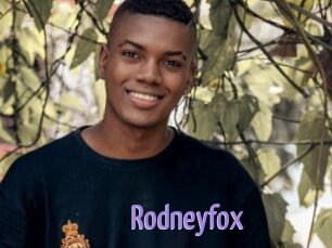 Rodneyfox