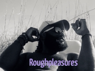 Roughpleasures