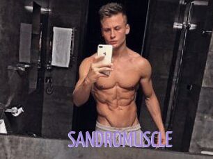 SANDRO_MUSCLE