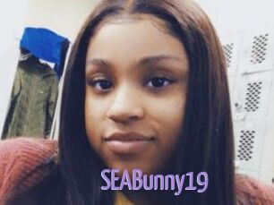 SEABunny19