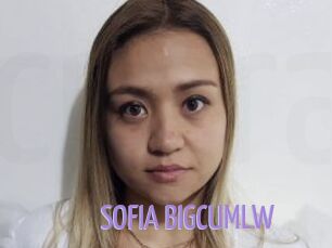 SOFIA_BIGCUMLW