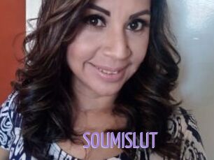 SOUMISLUT