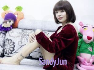 SandyJun