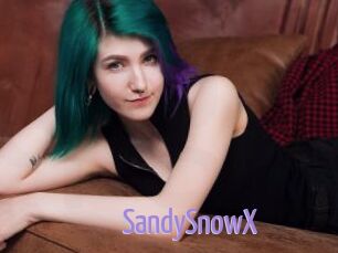 SandySnowX